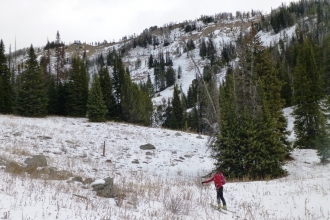 Bony coverage in Beehive Basin