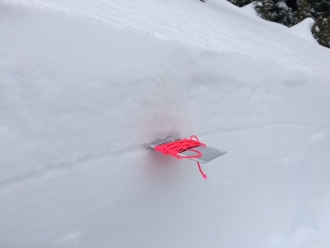 Buried Surface Hoar, Tepee Basin 2/14/16